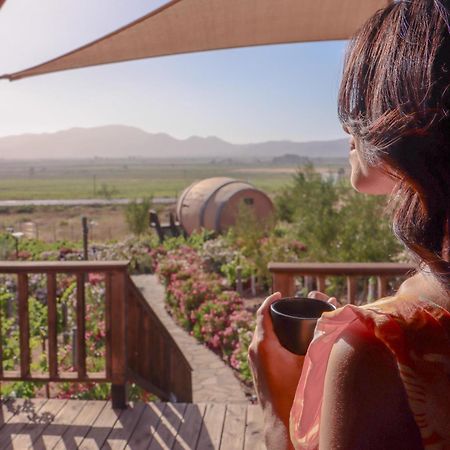 Finca El Mirador Valle de Guadalupe Esterno foto