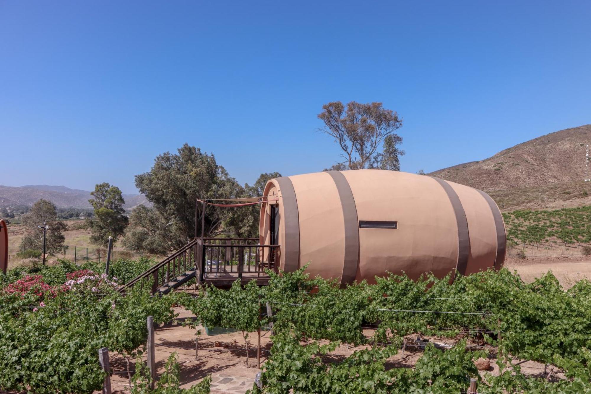 Finca El Mirador Valle de Guadalupe Esterno foto