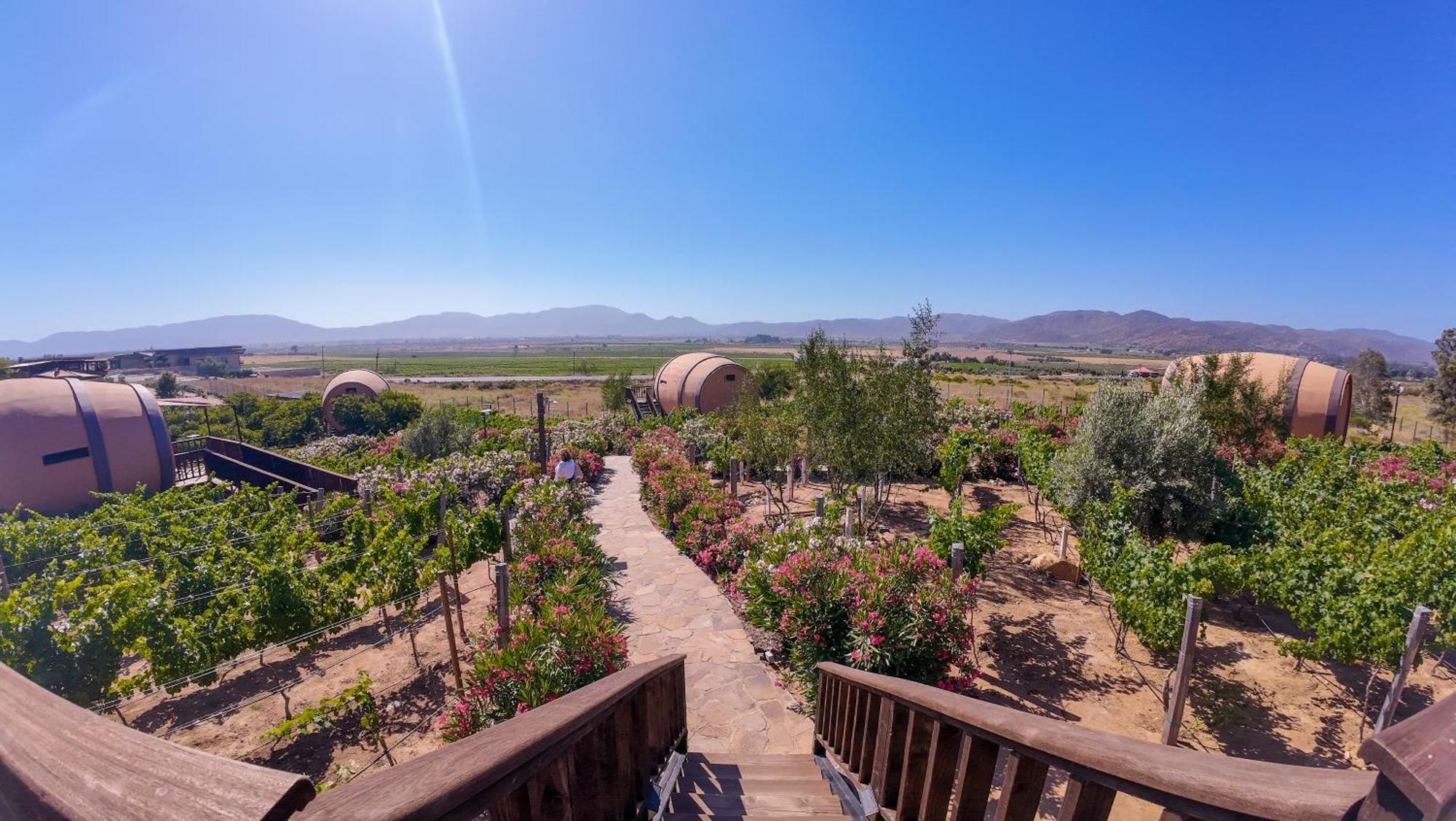 Finca El Mirador Valle de Guadalupe Esterno foto